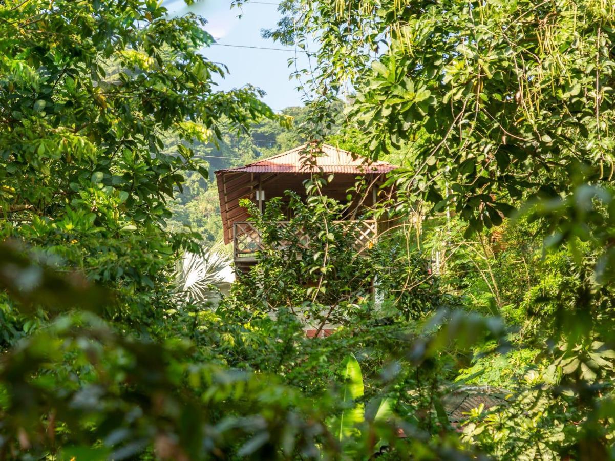 Deep Forest Posadas Ecoturisticas Zaino Exterior foto